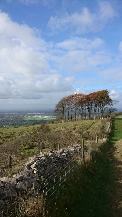 Cheltenham Racecourse from Cleeve Common